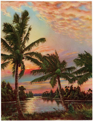 Palms at Sunset Frederick Ogden